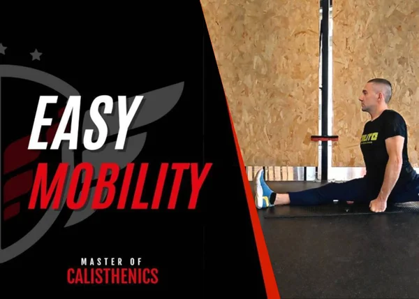 Easy Mobility – Claudio Negro - copertina corso