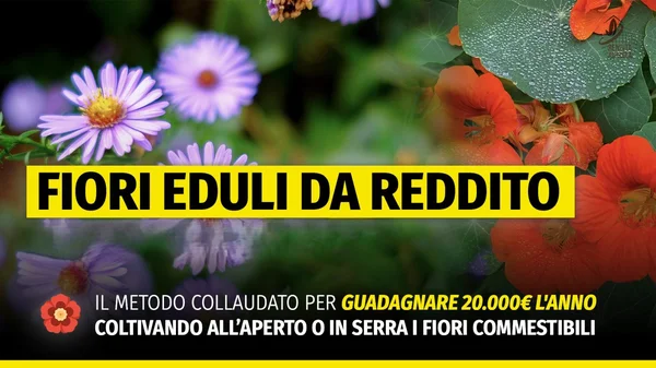 Fiori Eduli da reddito MASTER – Rendita Agricola - copertina corso