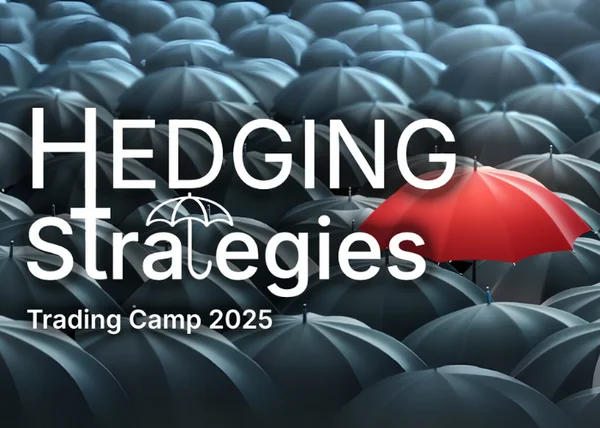 Hedging Strategies: Strategie di Copertura – QTLab - copertina corso