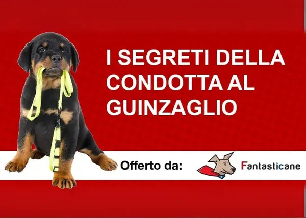 I Segreti della Condotta al Guinzaglio – Fantasticane - copertina corso