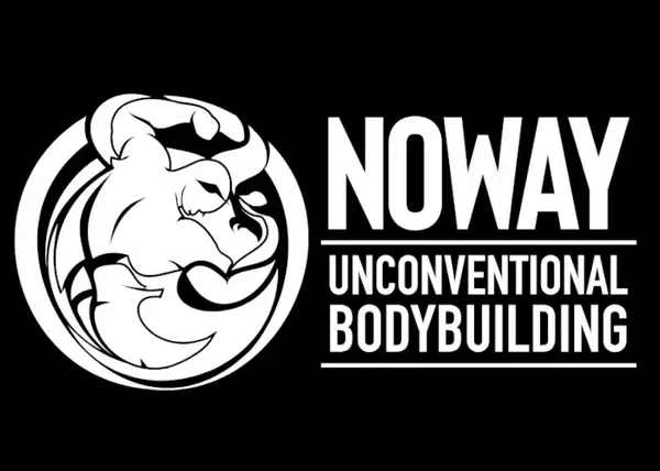 Icarus Elite – NoWay Academy - copertina corso