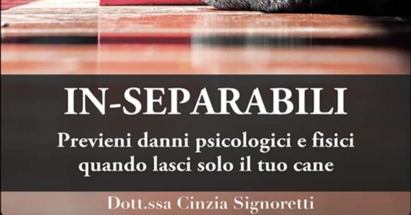 In-Separabili – Fantasticane - copertina corso