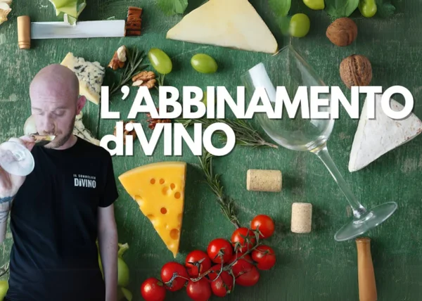 L’Abbinamento DiVino – Il Sommelier diVino - copertina corso