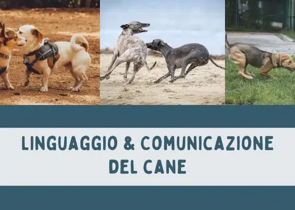 Linguaggio e Comunicazione del Cane – Educazione Cinofila - copertina corso