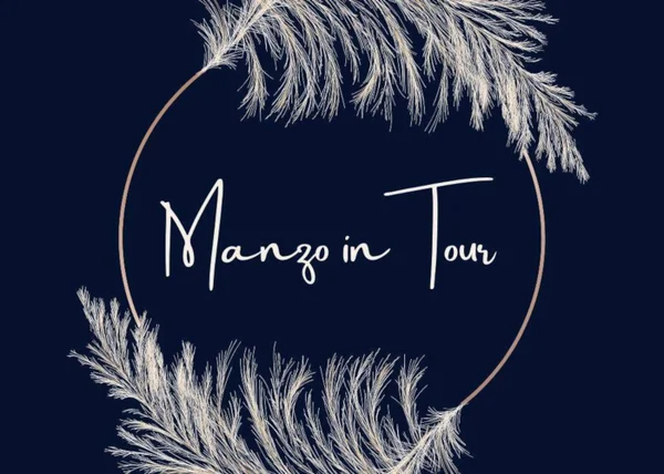 Manzo in Tour – Claudio Manzone - copertina corso