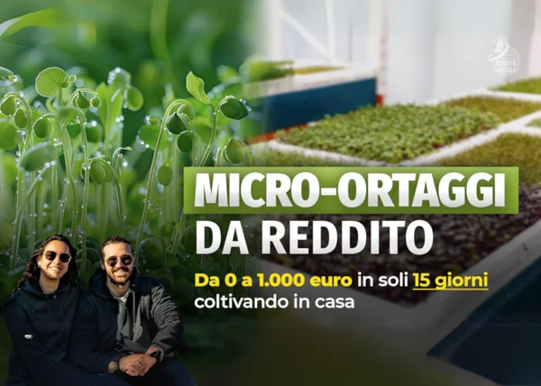 Micro-Ortaggi da Reddito – Rendita Agricola - copertina corso