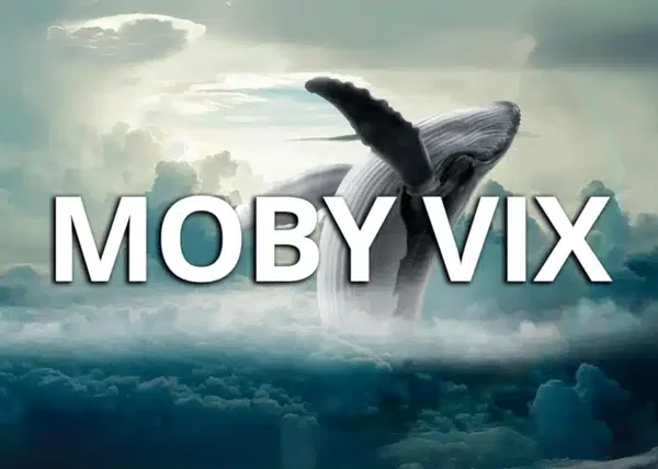 Moby VIX – BuzWay (Francesco Buzzi) - copertina corso