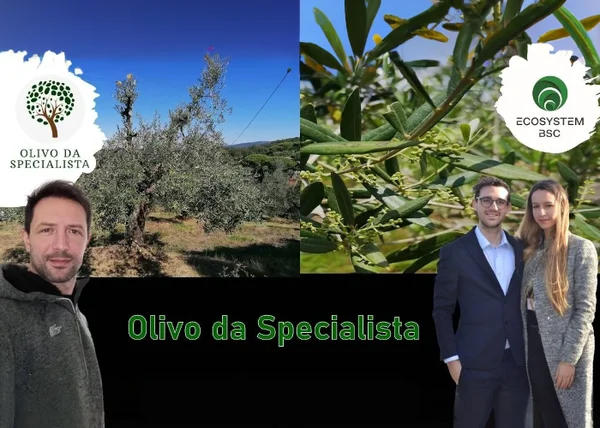 Olivo Da Specialista – Rendita Agricola - copertina corso