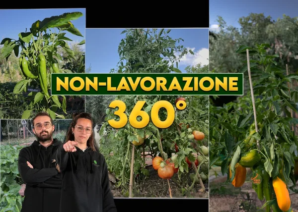 Orto Eterno: Non Lavorazione 360° – Rendita Agricola - copertina corso
