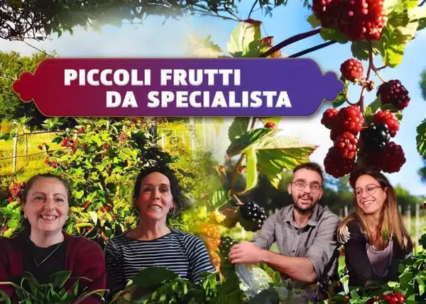 Piccoli Frutti da Specialista – Rendita Agricola - copertina corso
