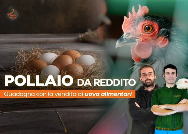 Pollaio da Reddito – Rendita Agricola - copertina corso