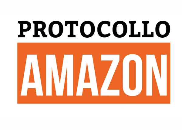 Protocollo Amazon – Michele Taverna - copertina corso
