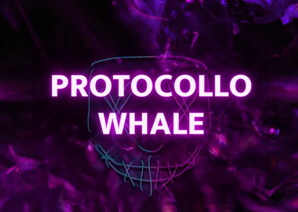 Protocollo Whale – Whalecot (Michele Cotti) - copertina corso