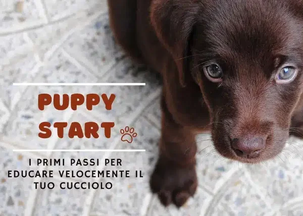Puppy Start – Educazione Cinofila - copertina corso