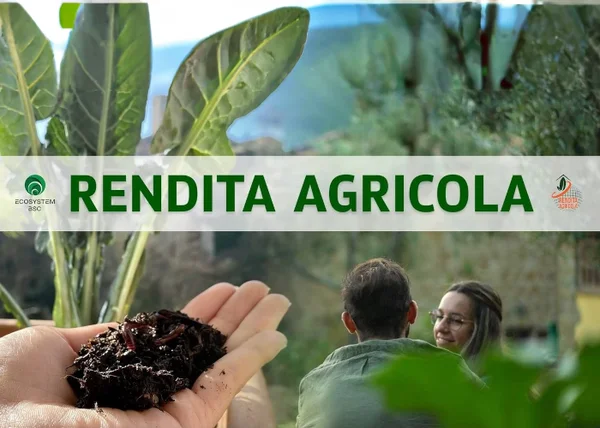 Rendita Agricola – Ecosystem BSC - copertina corso