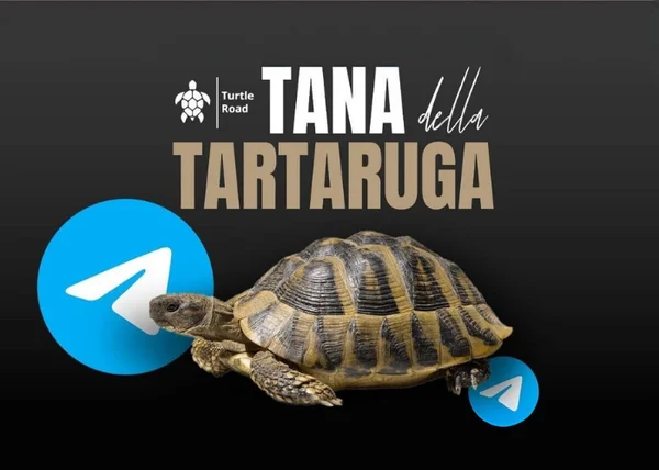 Tana della Tartaruga – Federico Ronzoni - copertina corso