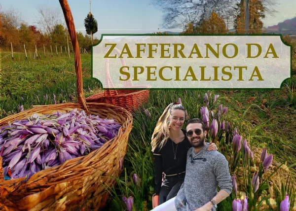 Zafferano Da Specialista – Rendita Agricola - copertina corso
