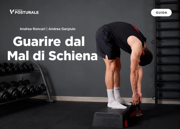 Corso Guarire dal Mal di Schiena – Project InVictus